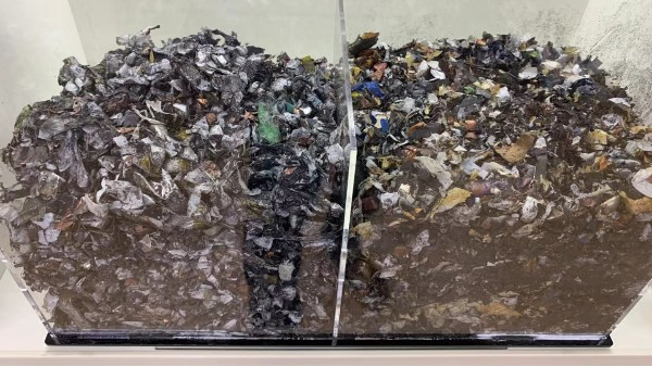 二輪電動車抖音TIKTOK色板免费网站IOS回收發展及抖音TIKTOK色板免费网站IOS回收盈利價格